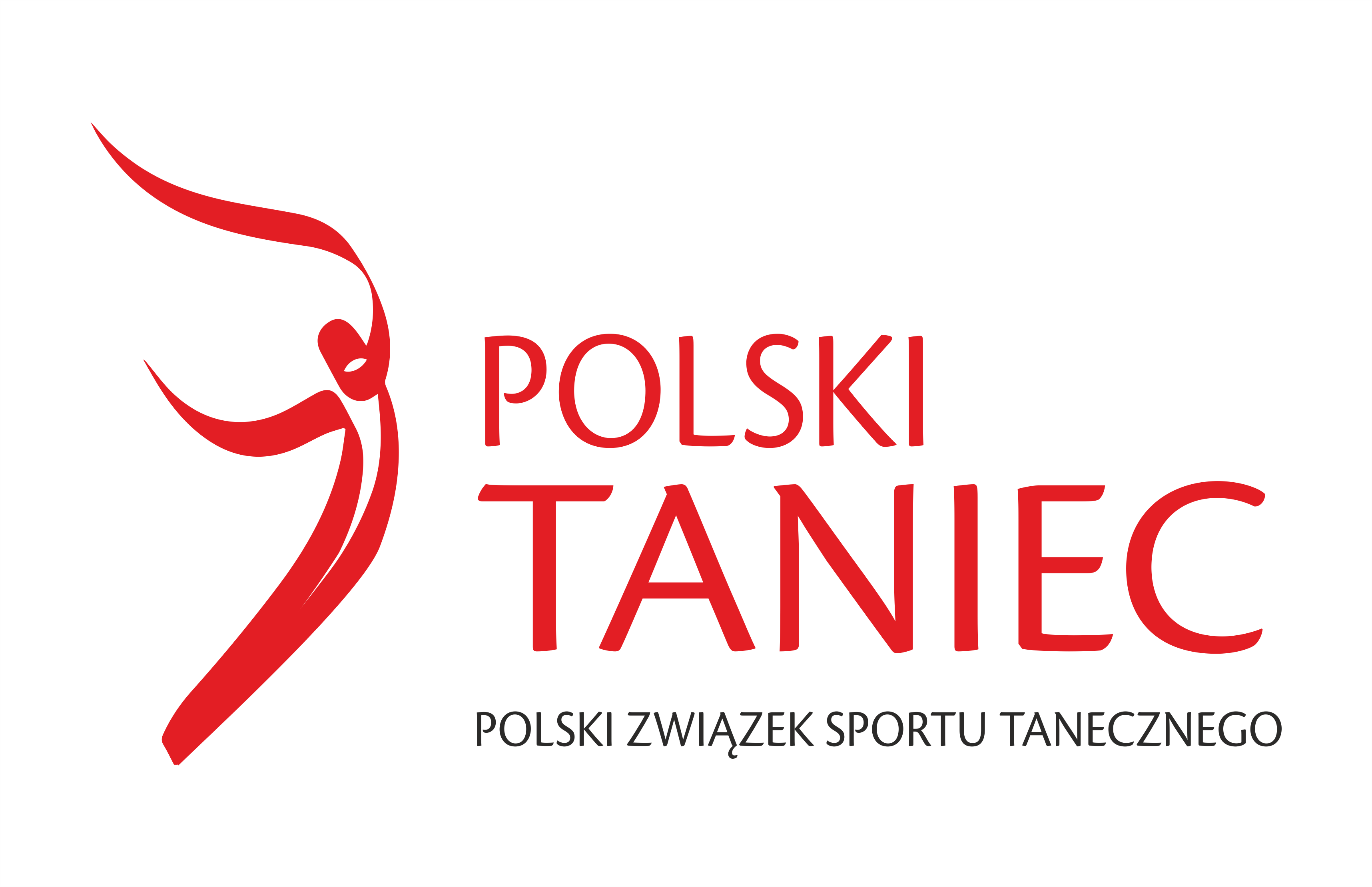 Logo PZST